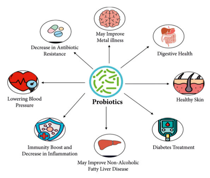 Schematic diagram of intestinal microbiota